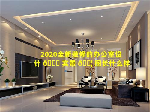 2020全新装修的办公室设计 🐎 实景 🐦 图长什么样